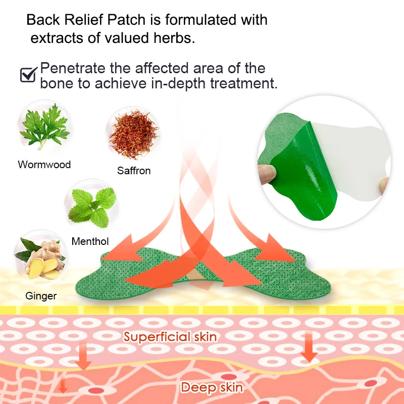 SpineAxis™ Wormwood Patches For Back + Hip Pain